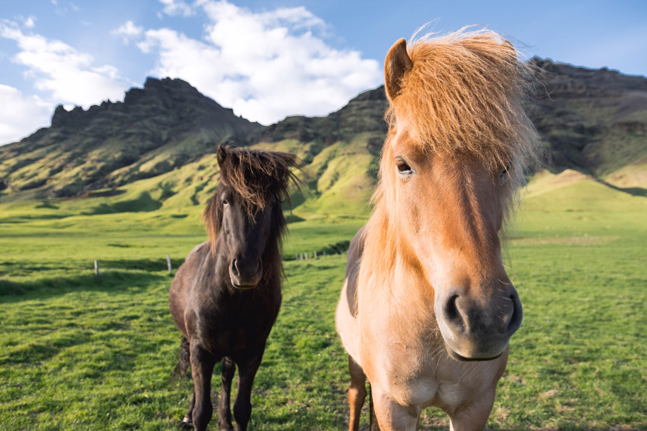 Helluland Icelandic Nature Riding Tour